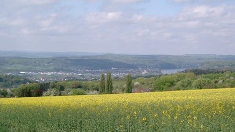 Honda Semmler - 3te Ausfahrt 2015