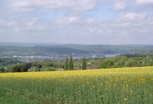 Honda Semmler - 3te Ausfahrt 2015 Bild 1: Honda Semmler - 3te Ausfahrt 2015