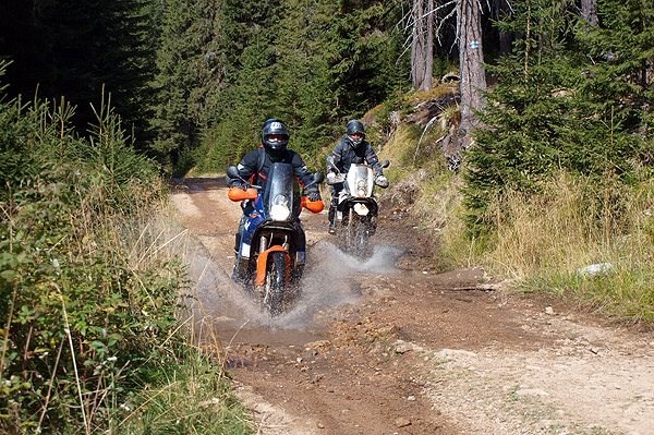 Wildnis Karpaten Tour