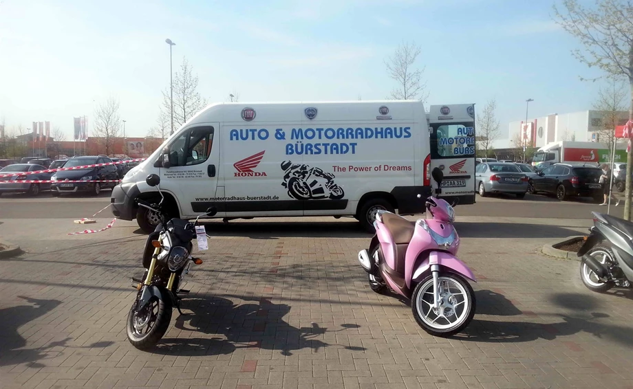 Ausstellung auf dem WEP Gelände Bild 5: Ausstellung auf dem WEP Gelände