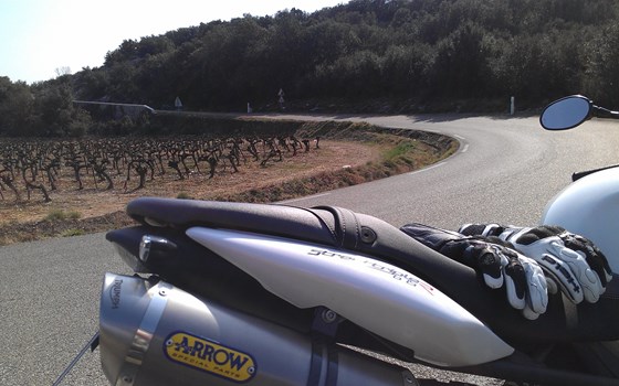 Ledenon 2017: First Rollout 2017 meets Buddy Ride! - Bild 2