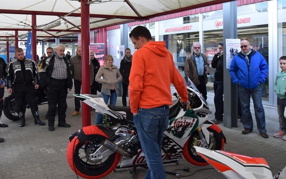 Frühlingsausstellung - Bild 3