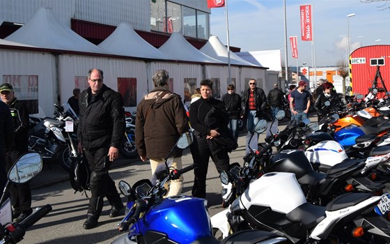 Frühlingsausstellung - Bild 5