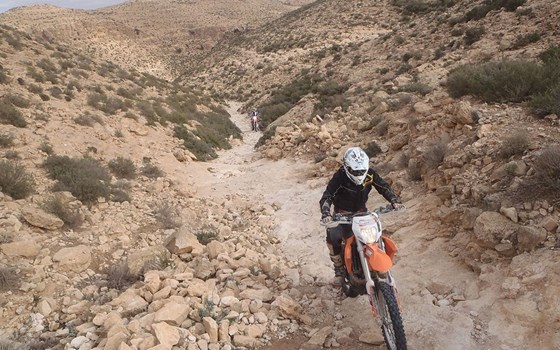 Tunesien Oasis - Bild 2