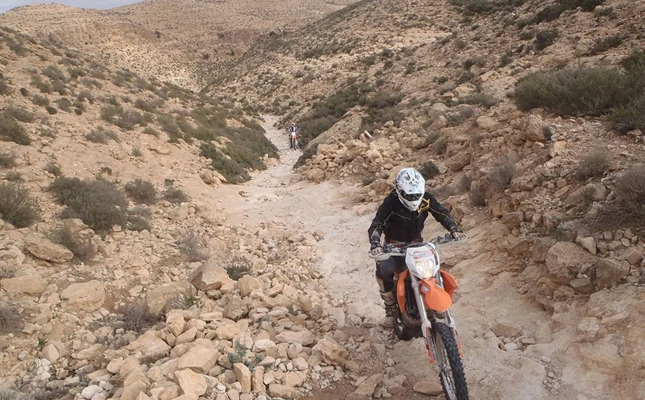 Tunesien Oasis Bild 2: Tunesien Oasis