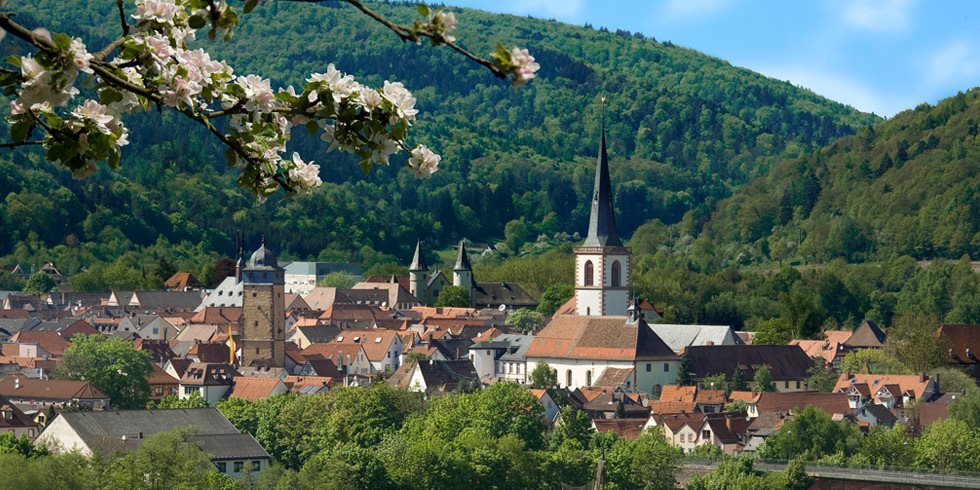 Herbstausfahrt Lohr/ Main 2018