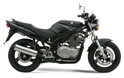 Suzuki GS 500 2005 Suzuki GS 500 2005