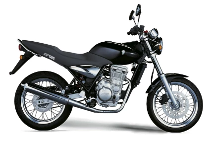 MZ 125 RT 2005 MZ 125 RT 2005
