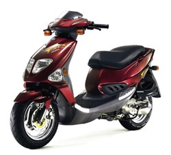 PGO T-Rex 125 2005