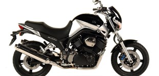 Ducati Monster 1100 Evo 2010 vs Yamaha BT 1100 Bulldog 2005