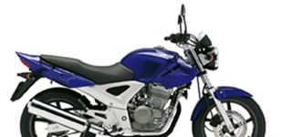 Honda CBF 250 2006 vs Kawasaki Ninja 250R 2009