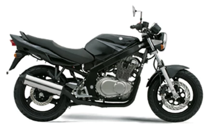 Suzuki GS 500 2006 Suzuki GS 500 2006