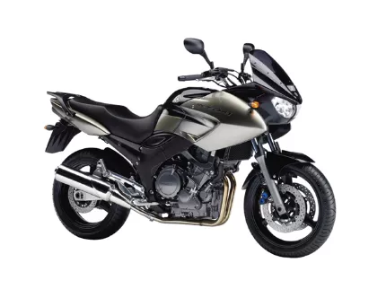 Yamaha TDM 900 Yamaha TDM 900