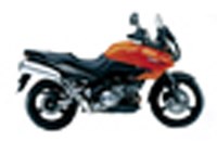 Kawasaki KLV 1000 2006 - Bild 1