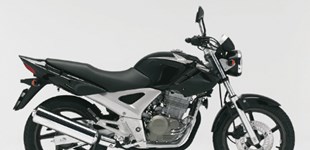 Honda CBF 250 2007 vs Beta Alp 4.0 2019