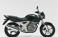 Honda CBF 250 2007 - Bild 1 Honda CBF 250 2007 - Bild 1