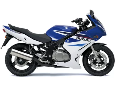 Suzuki GS 500F 2007 Suzuki GS 500F 2007