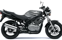 Suzuki GS 500 2007 - Bild 1 Suzuki GS 500 2007 - Bild 1