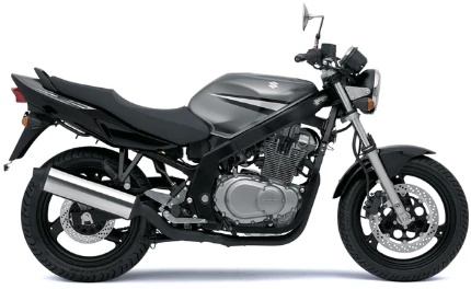 Suzuki GS 500 2007 Suzuki GS 500 2007