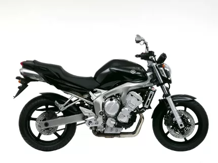 Yamaha FZ6-N S2 Yamaha FZ6-N S2