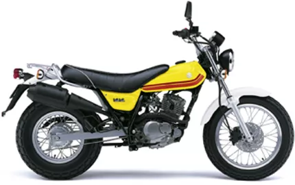 Suzuki RV 125