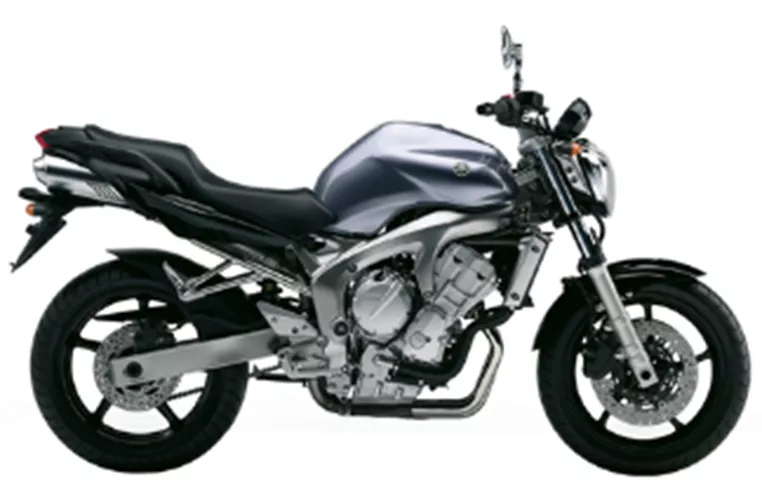 Yamaha FZ-6N 2008 Yamaha FZ-6N 2008