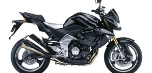 Kawasaki Z1000 2008 vs BMW G 310 R 2021