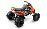 KTM 450 XC ATV 2009 - Bild 3