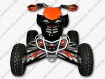 E-ATV 450 SX F 2009 - Bild 2