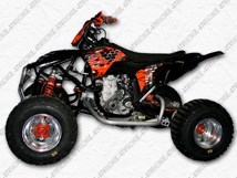 E-ATV 450 SX F 2009 - Bild 3