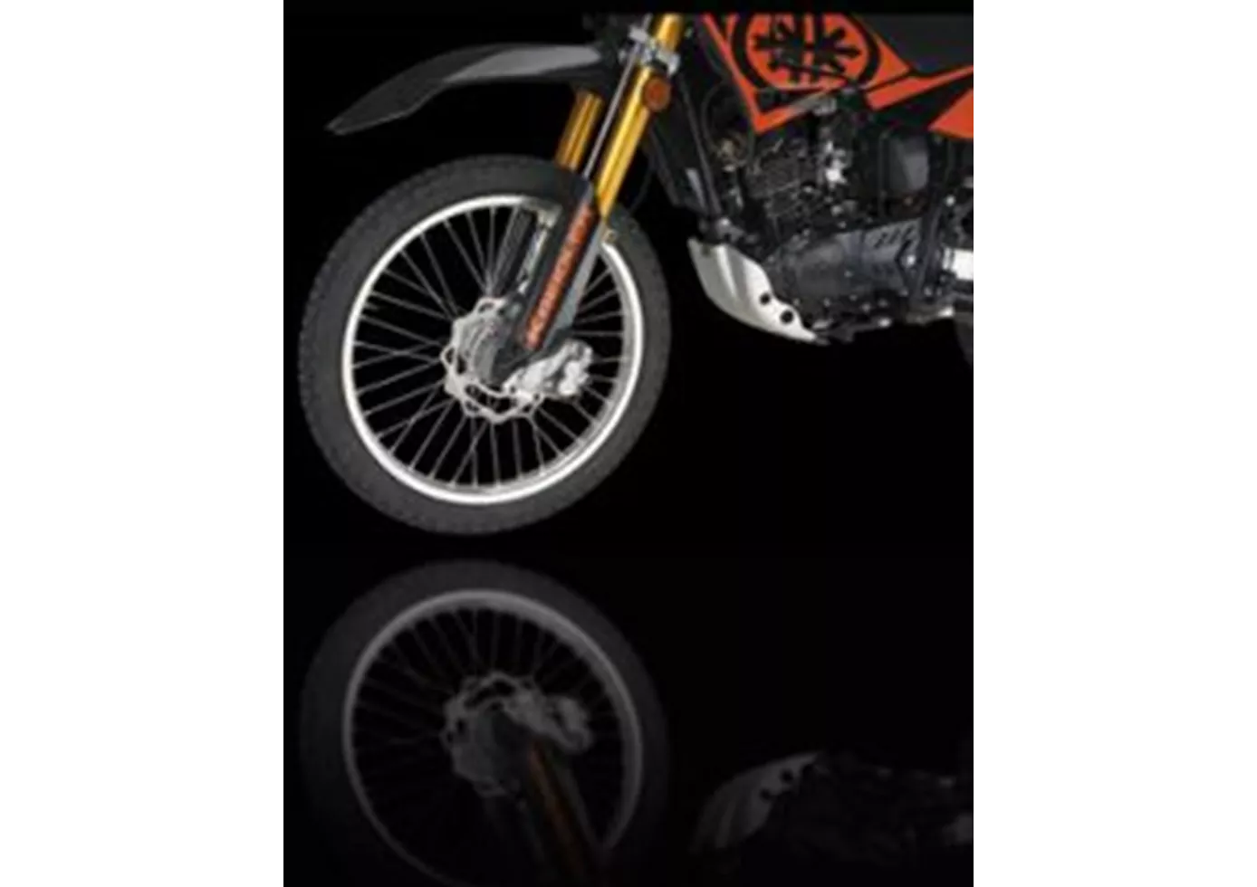 Kreidler Enduro 125 DD 2009 Kreidler Enduro 125 DD 2009