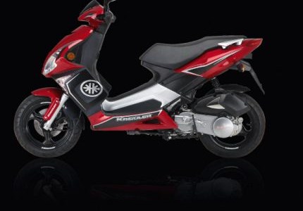 Kreidler RMC-G 50 Race 2009