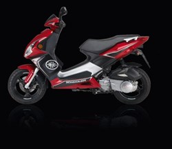 Kreidler RMC-G 50 Race 2009