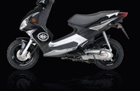 Kreidler RMC-G 125 Race 2009 - Bild 1