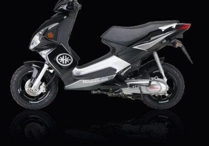 Kreidler RMC-G 125 Race 2009