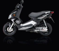 Kreidler RMC-G 125 Race 2009