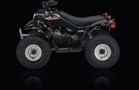 Kreidler Mustang 50 Rev. 2009 - Bild 1