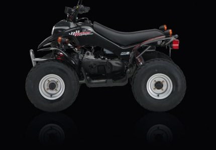 Kreidler Mustang 50 Rev. 2009