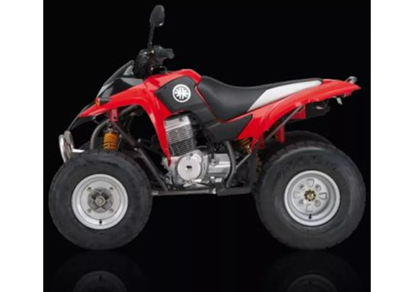 Kreidler Mustang 250 Rev. 2009 Kreidler Mustang 250 Rev. 2009