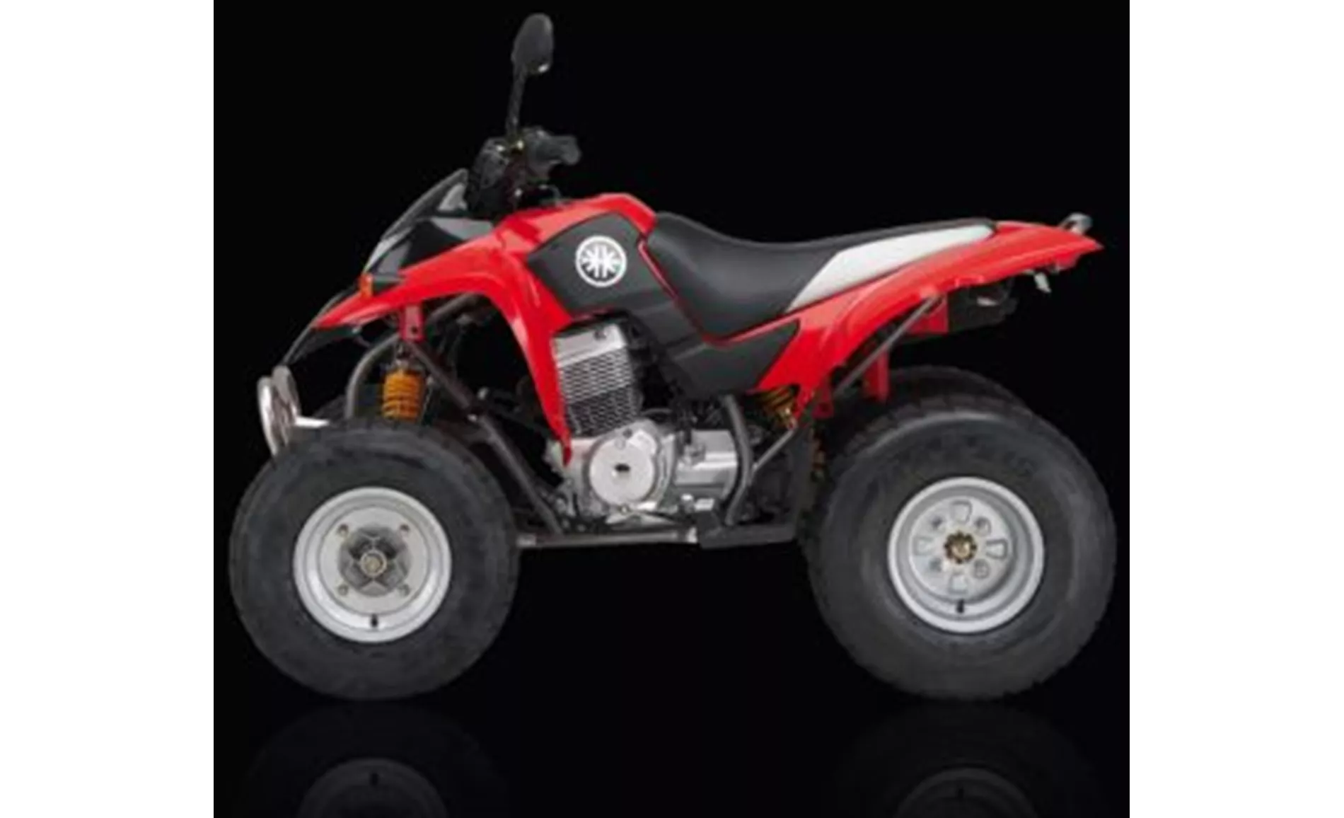 Kreidler Mustang 250 Rev. 2009 Kreidler Mustang 250 Rev. 2009