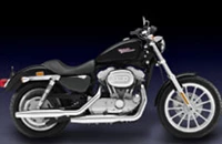 Harley-Davidson Sportster XL 883 2009 - Bild 2 Harley-Davidson Sportster XL 883 2009 - Bild 2