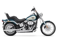 Harley-Davidson Softail Custom FXSTC 2009 - Bild 1 Harley-Davidson Softail Custom FXSTC 2009 - Bild 1