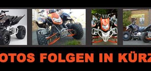 Triton Baja 300 Limited Edition 2009 vs TGB Target 525 4x2 2010