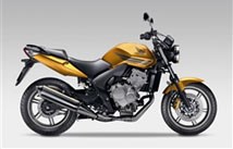 Honda CBF 600 2009 - Bild 4 Honda CBF 600 2009 - Bild 4