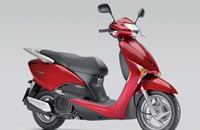 Honda SCV 100 Lead 2009 - Bild 1