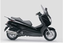 Honda FES 125 S-Wing 2009 - Bild 3