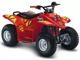 Malaguti ATV 50 Grizzly 2009 Malaguti ATV 50 Grizzly 2009