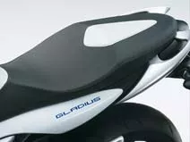 Suzuki SFV 650 Gladius Suzuki SFV 650 Gladius