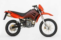 MZ 125 SX 2009 - Bild 1