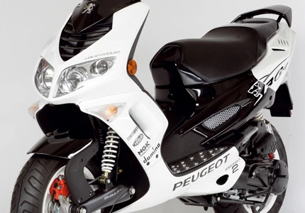 Peugeot Speedfight 2 50 RCup LC 2009 Peugeot Speedfight 2 50 RCup LC 2009